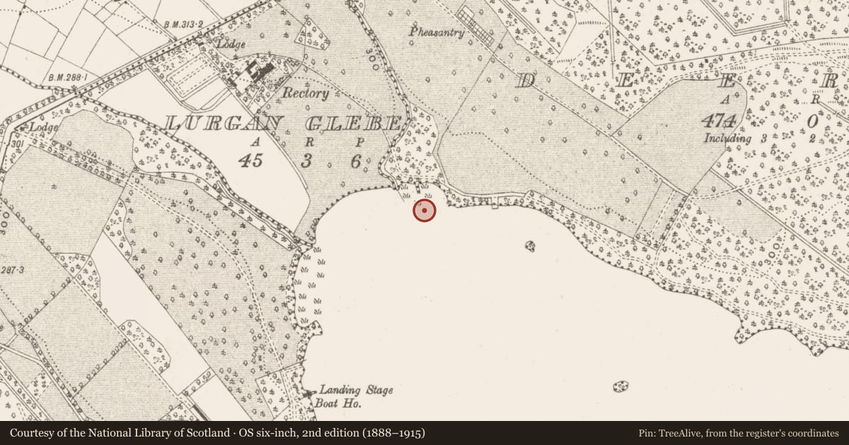 Ordnance Survey six-inch map, 2nd edition (1888–1915) covering the location of Crannog, Lough Ramor, County Cavan, with a pin at the register's coordinates