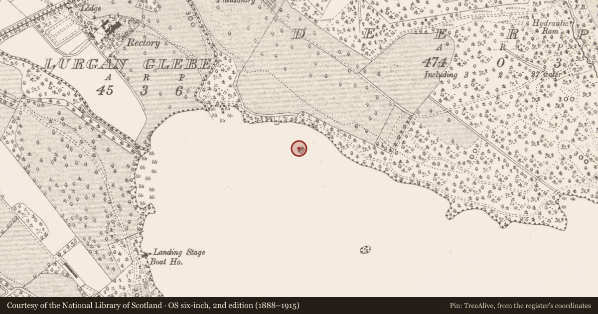 Ordnance Survey six-inch map, 2nd edition (1888–1915) covering the location of Crannog, Lough Ramor, County Cavan, with a pin at the register's coordinates