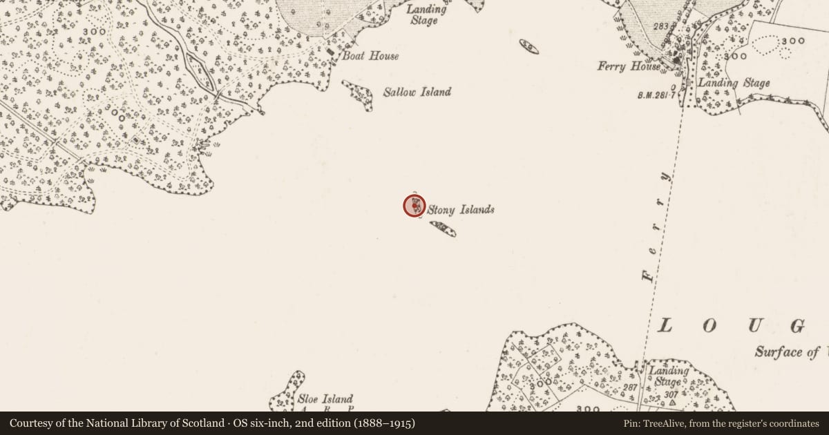 Ordnance Survey six-inch map, 2nd edition (1888–1915) covering the location of Crannog, Stony Islands, County Cavan, with a pin at the register's coordinates