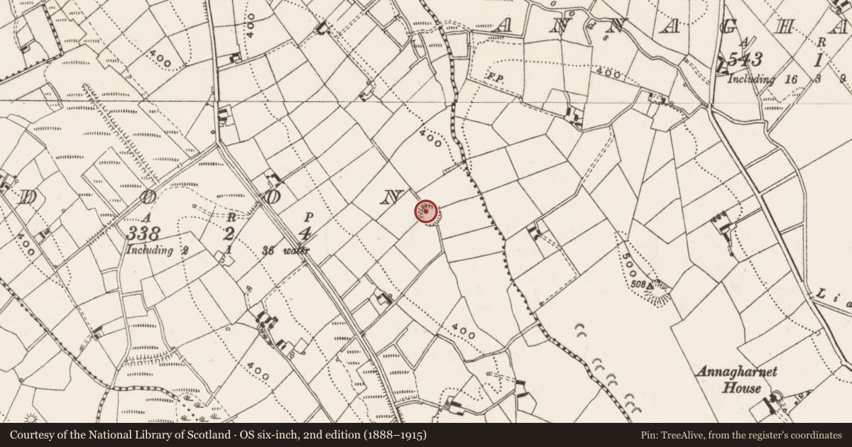 Ordnance Survey six-inch map, 2nd edition (1888–1915) covering the location of Ringfort - rath, Doon, County Cavan, with a pin at the register's coordinates