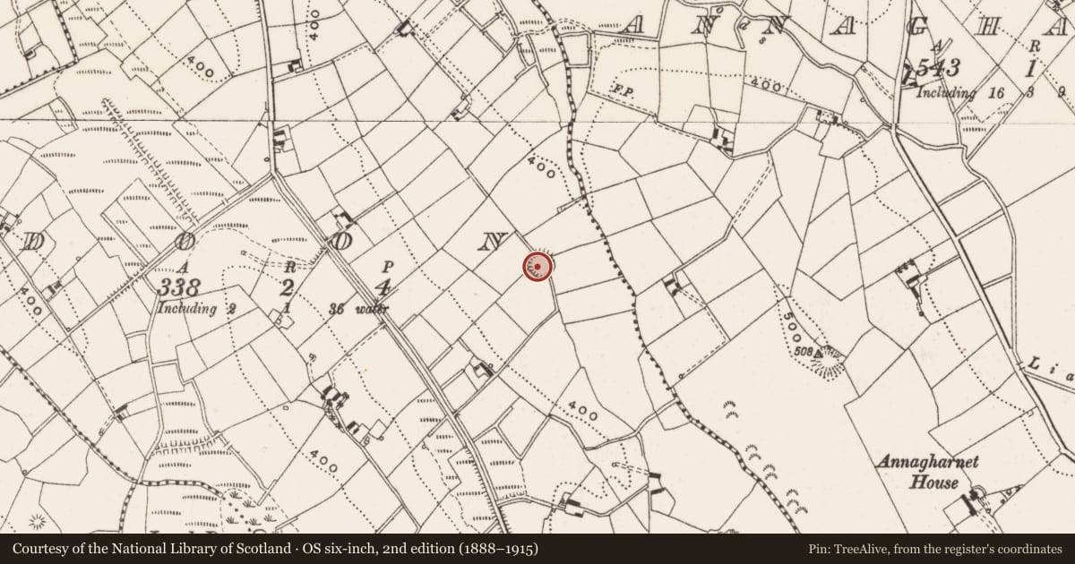 Ordnance Survey six-inch map, 2nd edition (1888–1915) covering the location of Souterrain, Doon, County Cavan, with a pin at the register's coordinates