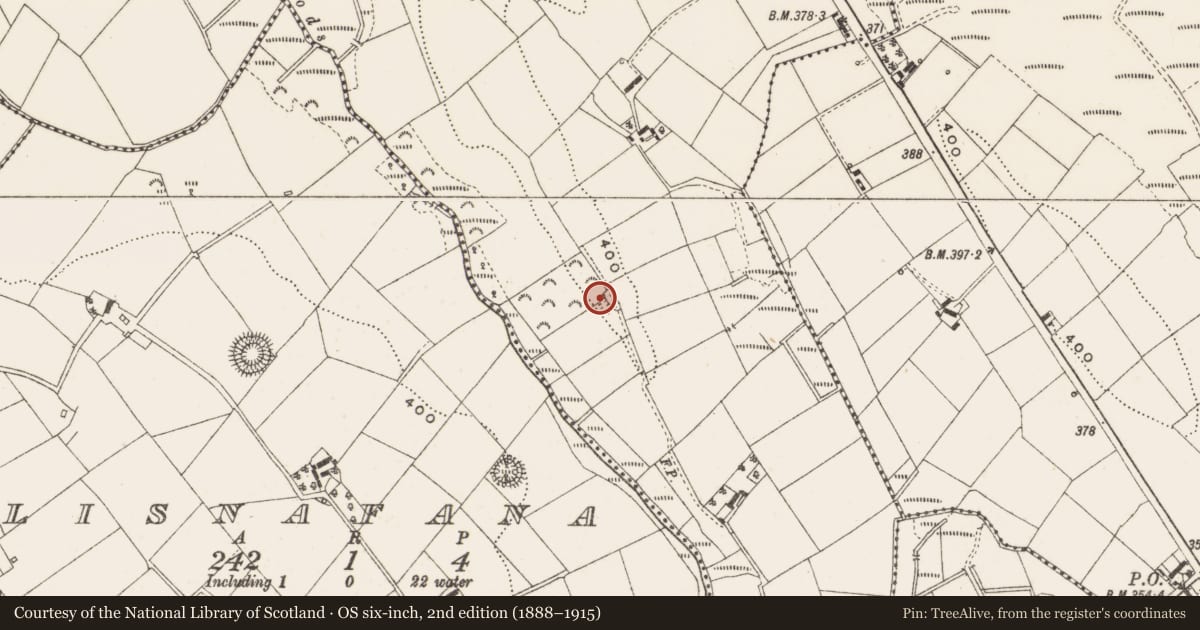 Ordnance Survey six-inch map, 2nd edition (1888–1915) covering the location of Ringfort - unclassified, Drumgora, County Cavan, with a pin at the register's coordinates