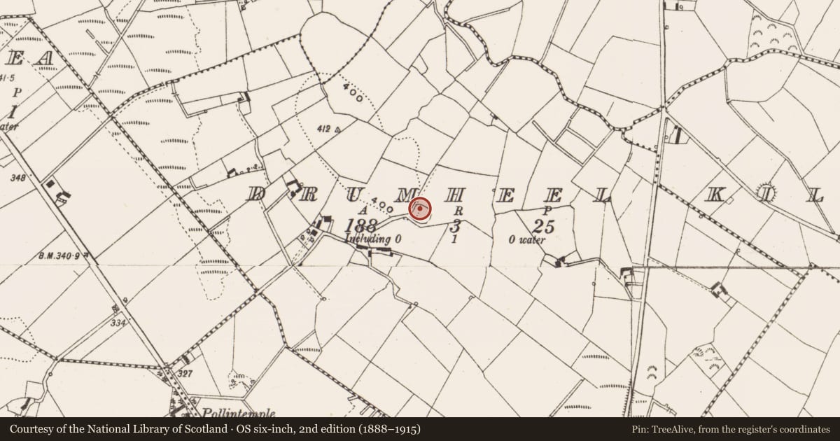 Ordnance Survey six-inch map, 2nd edition (1888–1915) covering the location of Ringfort - rath, Drumheel, County Cavan, with a pin at the register's coordinates