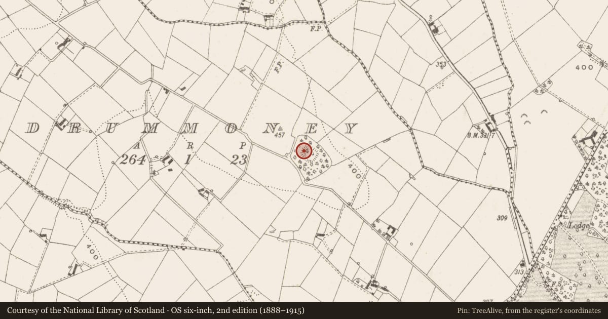 Ordnance Survey six-inch map, 2nd edition (1888–1915) covering the location of Ringfort - rath, Drummoney, County Cavan, with a pin at the register's coordinates