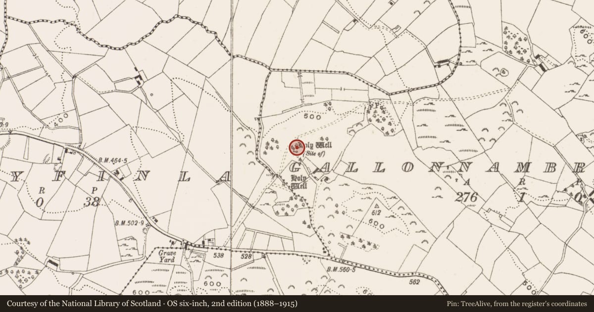 Ordnance Survey six-inch map, 2nd edition (1888–1915) covering the location of Ritual site - holy well, Gallonnambraher, County Cavan, with a pin at the register's coordinates