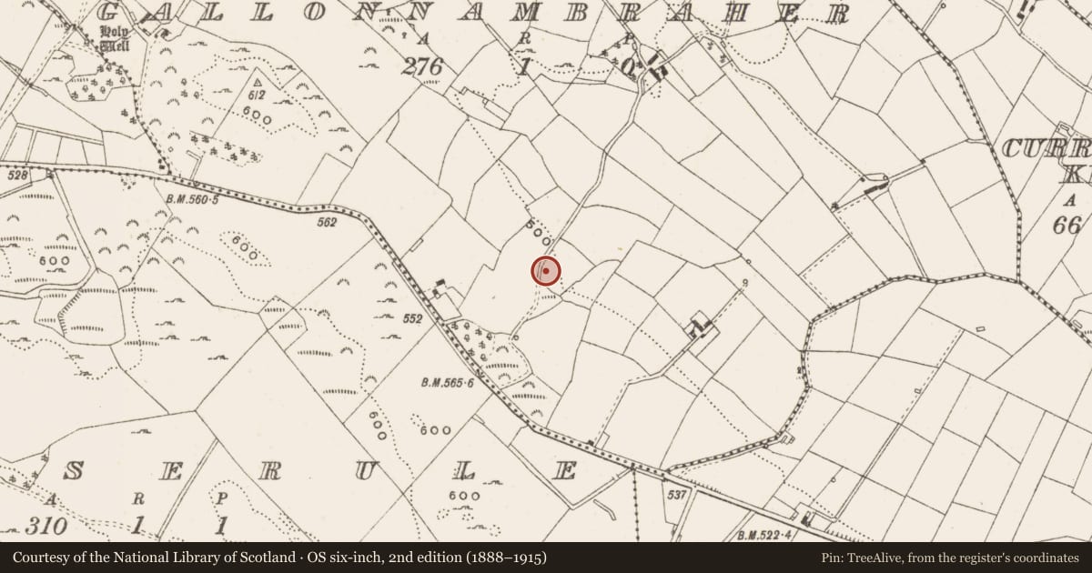 Ordnance Survey six-inch map, 2nd edition (1888–1915) covering the location of Ringfort - rath, Gallonnambraher, County Cavan, with a pin at the register's coordinates