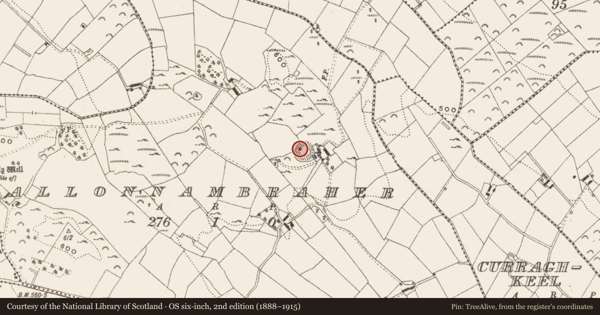Ordnance Survey six-inch map, 2nd edition (1888–1915) covering the location of Ringfort - rath, Gallonnambraher, County Cavan, with a pin at the register's coordinates