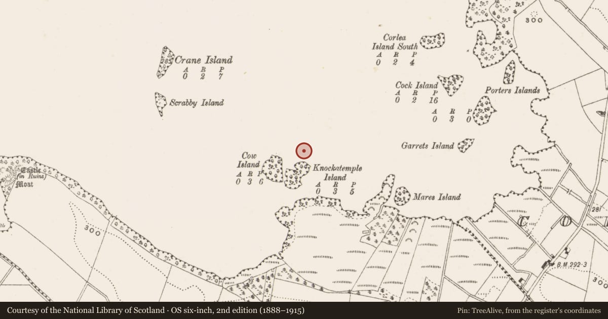 Ordnance Survey six-inch map, 2nd edition (1888–1915) covering the location of Crannog, Lough Ramor, County Cavan, with a pin at the register's coordinates