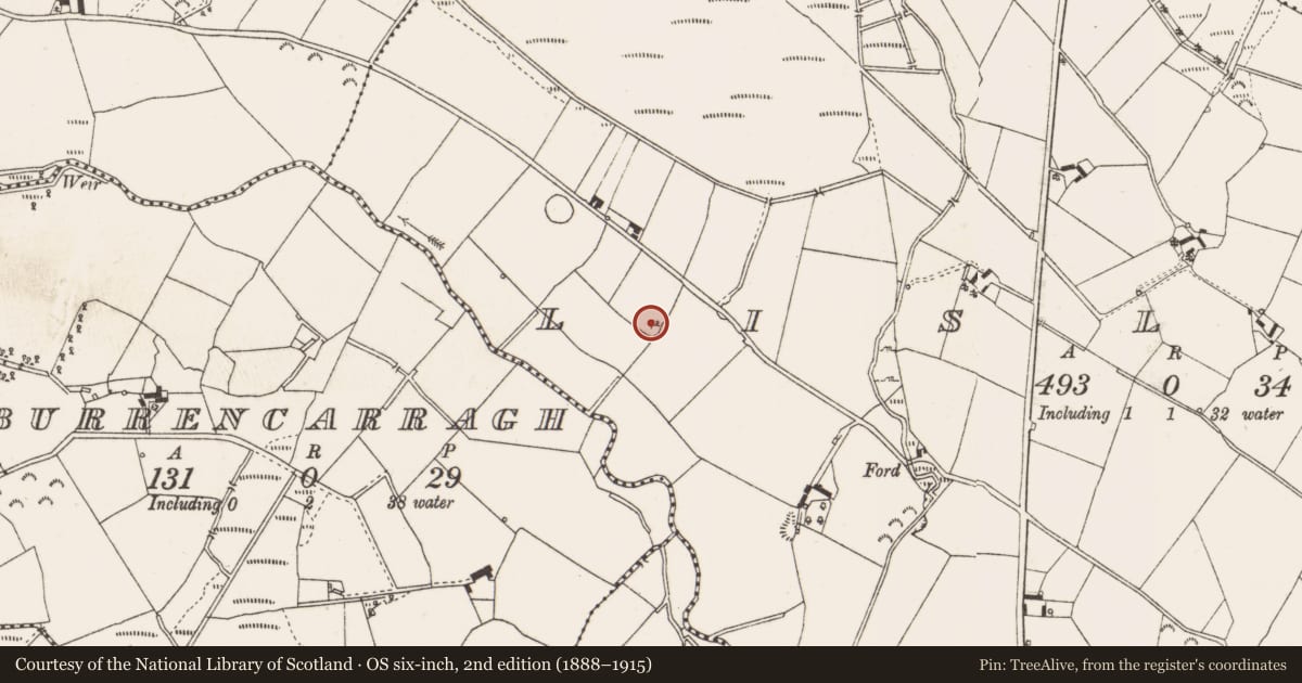 Ordnance Survey six-inch map, 2nd edition (1888–1915) covering the location of Ringfort - rath, Lislea, County Cavan, with a pin at the register's coordinates