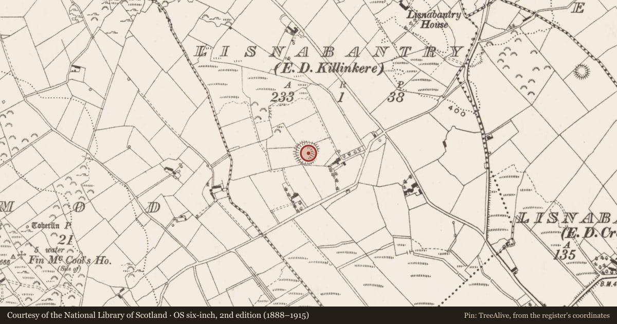 Ordnance Survey six-inch map, 2nd edition (1888–1915) covering the location of Souterrain, Lisnabantry, County Cavan, with a pin at the register's coordinates