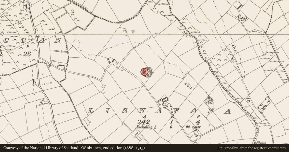 Ordnance Survey six-inch map, 2nd edition (1888–1915) covering the location of Souterrain, Lisnafana, County Cavan, with a pin at the register's coordinates