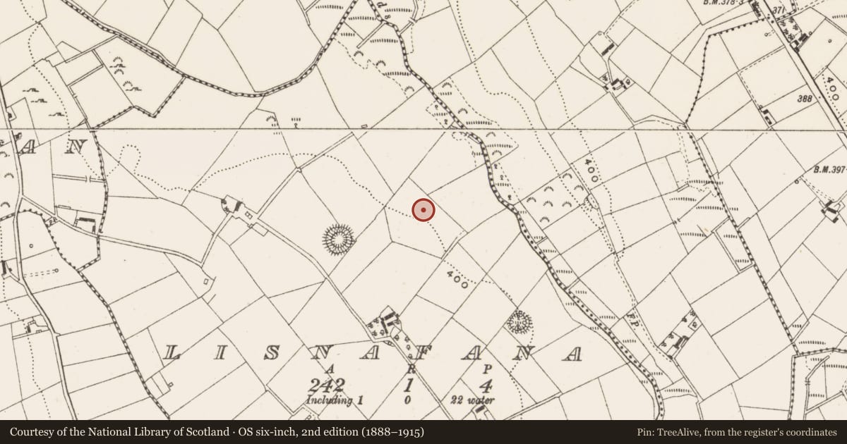 Ordnance Survey six-inch map, 2nd edition (1888–1915) covering the location of Ringfort - unclassified, Lisnafana, County Cavan, with a pin at the register's coordinates