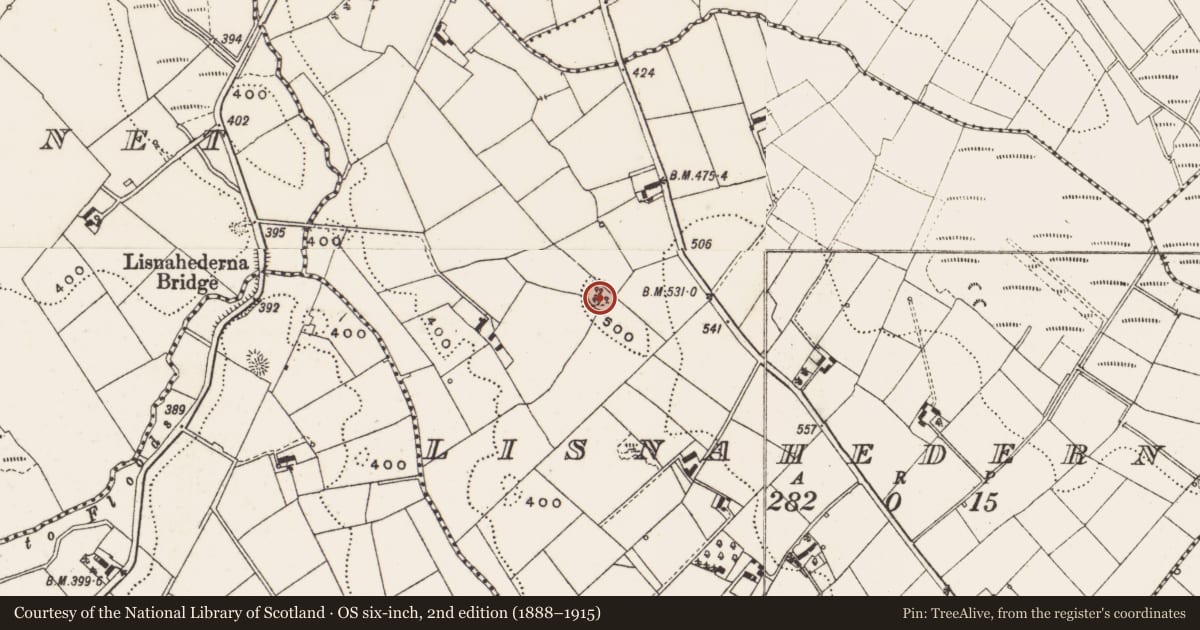 Ordnance Survey six-inch map, 2nd edition (1888–1915) covering the location of Ringfort - rath, Lisnahederna, County Cavan, with a pin at the register's coordinates