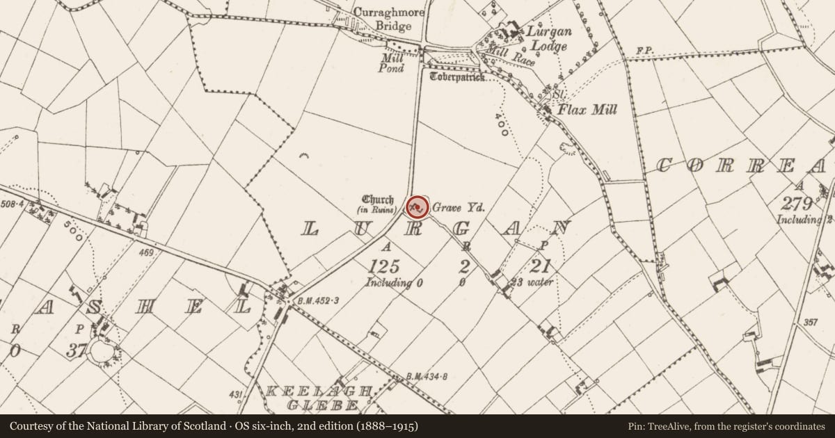 Ordnance Survey six-inch map, 2nd edition (1888–1915) covering the location of Church, Lurgan, County Cavan, with a pin at the register's coordinates