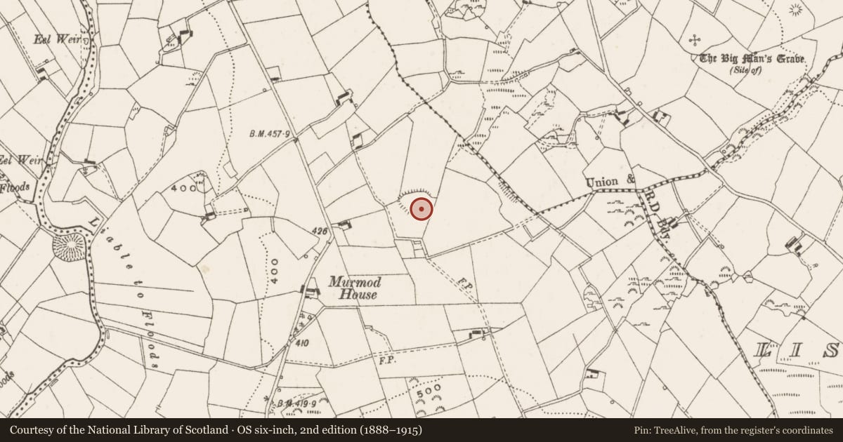Ordnance Survey six-inch map, 2nd edition (1888–1915) covering the location of Ringfort - rath, Murmod, County Cavan, with a pin at the register's coordinates