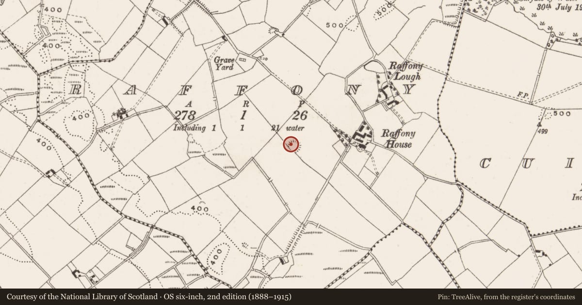 Ordnance Survey six-inch map, 2nd edition (1888–1915) covering the location of Ringfort - rath, Raffony, County Cavan, with a pin at the register's coordinates