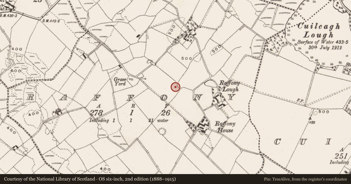 Ordnance Survey six-inch map, 2nd edition (1888–1915) covering the location of Megalithic tomb - wedge tomb, Raffony, County Cavan, with a pin at the register's coordinates