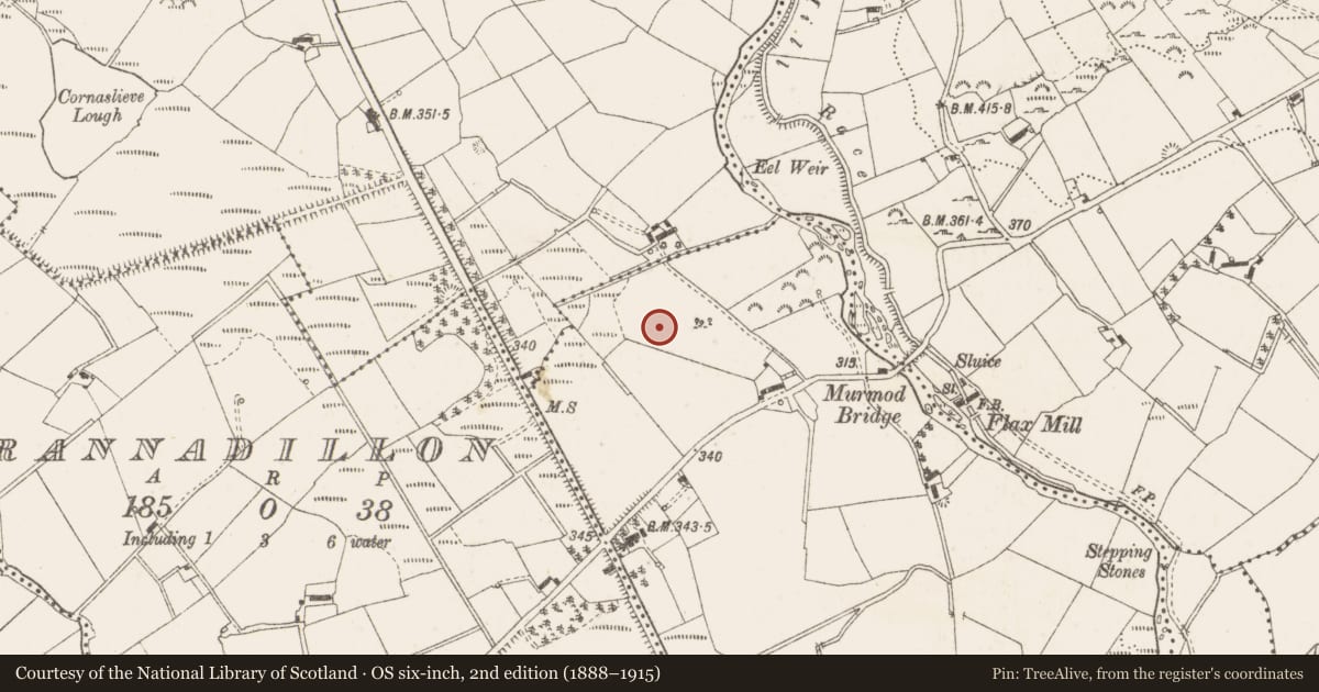 Ordnance Survey six-inch map, 2nd edition (1888–1915) covering the location of Ringfort - rath, Virginia, County Cavan, with a pin at the register's coordinates