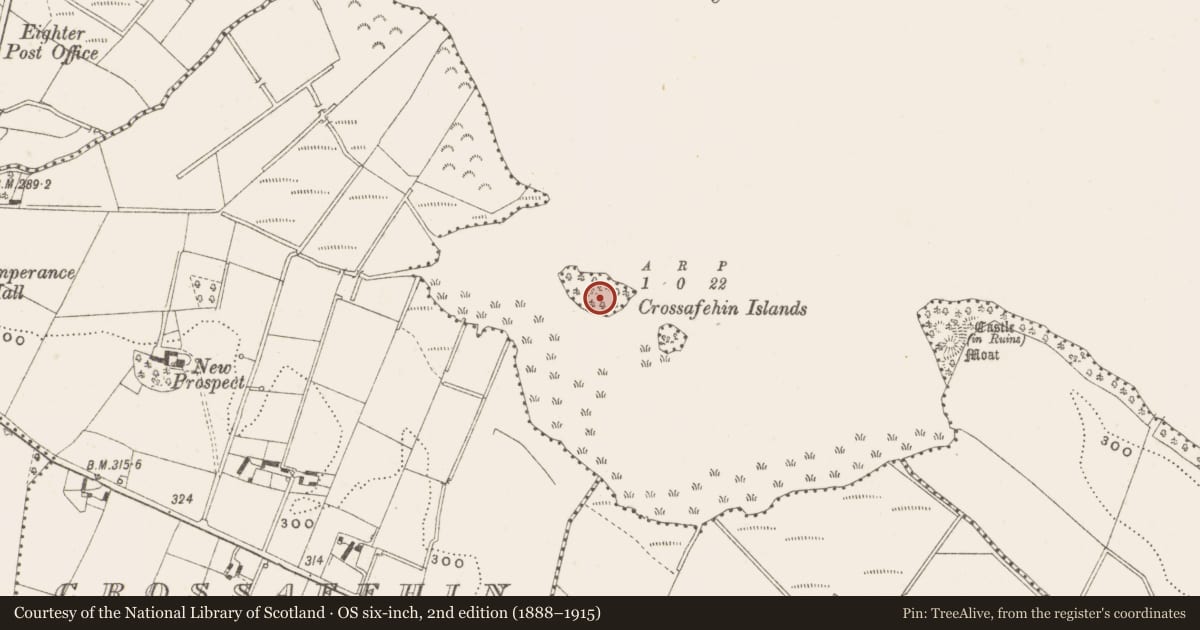 Ordnance Survey six-inch map, 2nd edition (1888–1915) covering the location of Crannog, Crossafehin Islands, County Cavan, with a pin at the register's coordinates