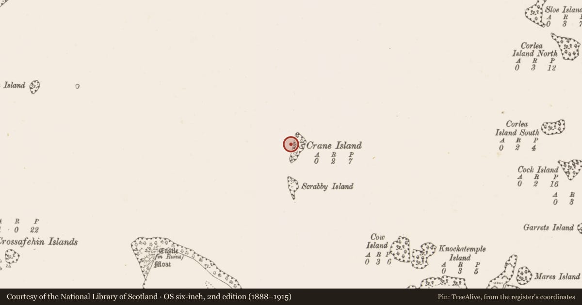 Ordnance Survey six-inch map, 2nd edition (1888–1915) covering the location of Crannog, Crane Island, County Cavan, with a pin at the register's coordinates