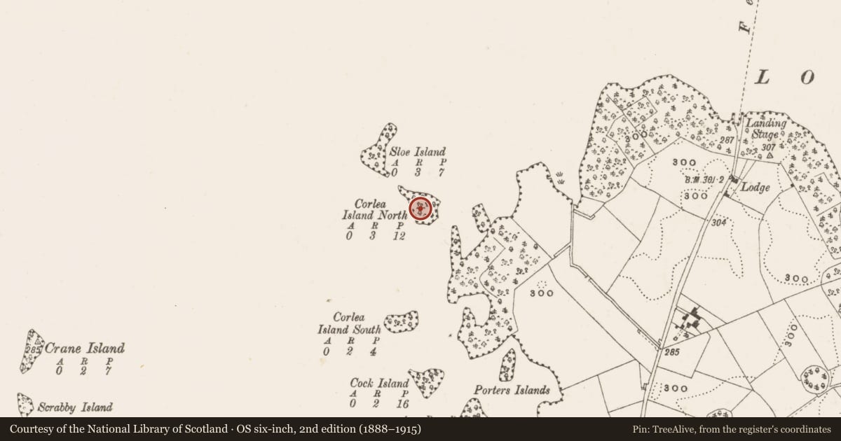 Ordnance Survey six-inch map, 2nd edition (1888–1915) covering the location of Crannog, Corlea Island North, County Cavan, with a pin at the register's coordinates