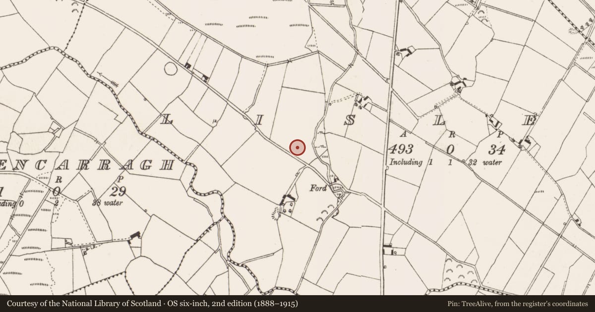 Ordnance Survey six-inch map, 2nd edition (1888–1915) covering the location of Fulacht fia, Lislea, County Cavan, with a pin at the register's coordinates