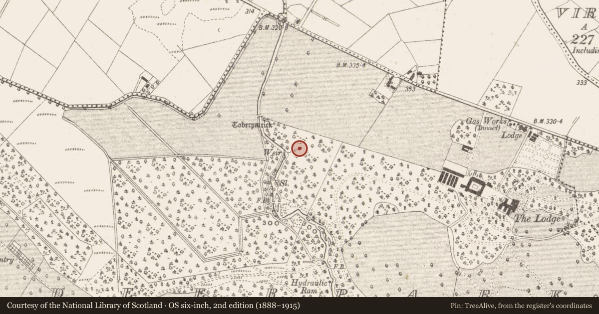 Ordnance Survey six-inch map, 2nd edition (1888–1915) covering the location of Well, Deerpark, County Cavan, with a pin at the register's coordinates
