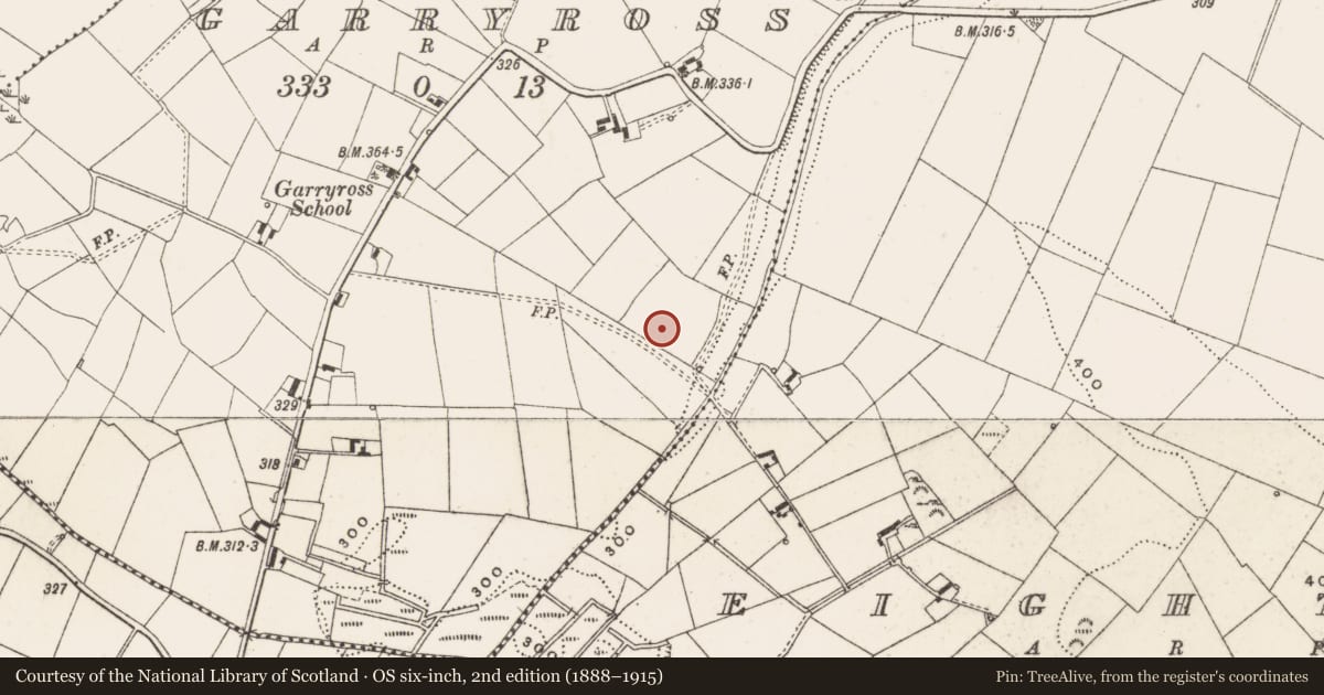 Ordnance Survey six-inch map, 2nd edition (1888–1915) covering the location of Enclosure, Garryross, County Cavan, with a pin at the register's coordinates