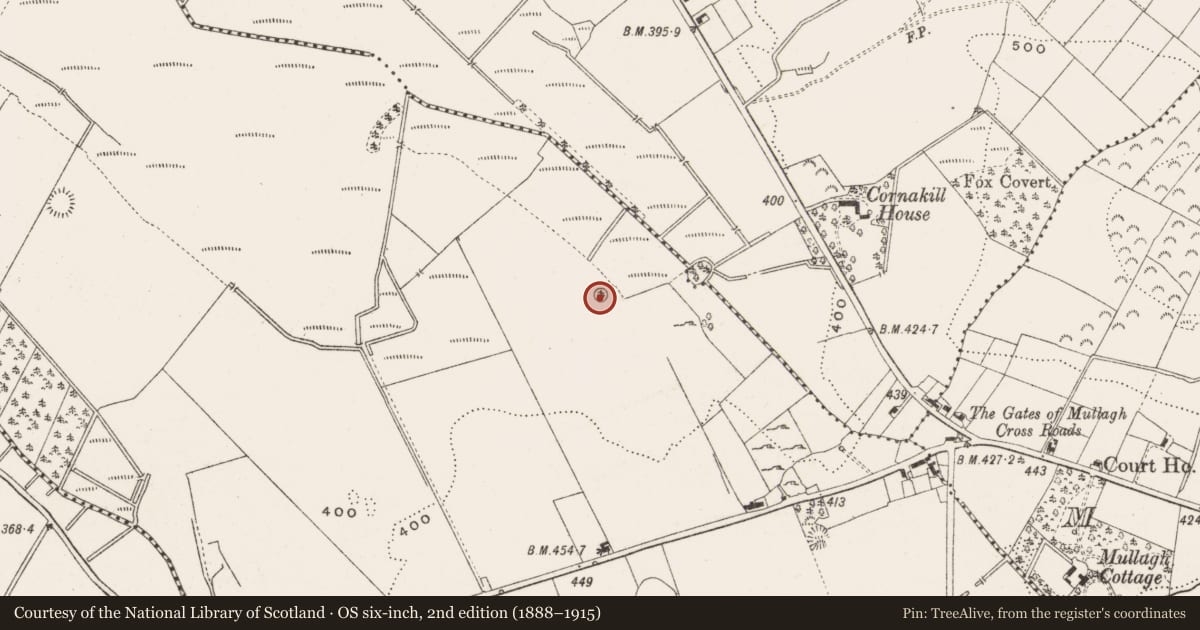 Ordnance Survey six-inch map, 2nd edition (1888–1915) covering the location of Barrow - unclassified, Cloghballybeg, County Cavan, with a pin at the register's coordinates