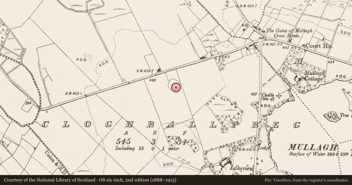 Ordnance Survey six-inch map, 2nd edition (1888–1915) covering the location of Ringfort - rath, Cloghballybeg, County Cavan, with a pin at the register's coordinates