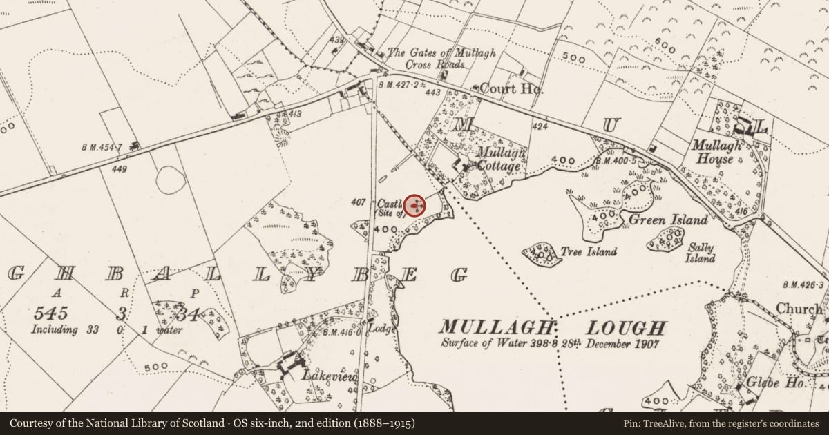 Ordnance Survey six-inch map, 2nd edition (1888–1915) covering the location of Castle - unclassified, Cloghballybeg, County Cavan, with a pin at the register's coordinates
