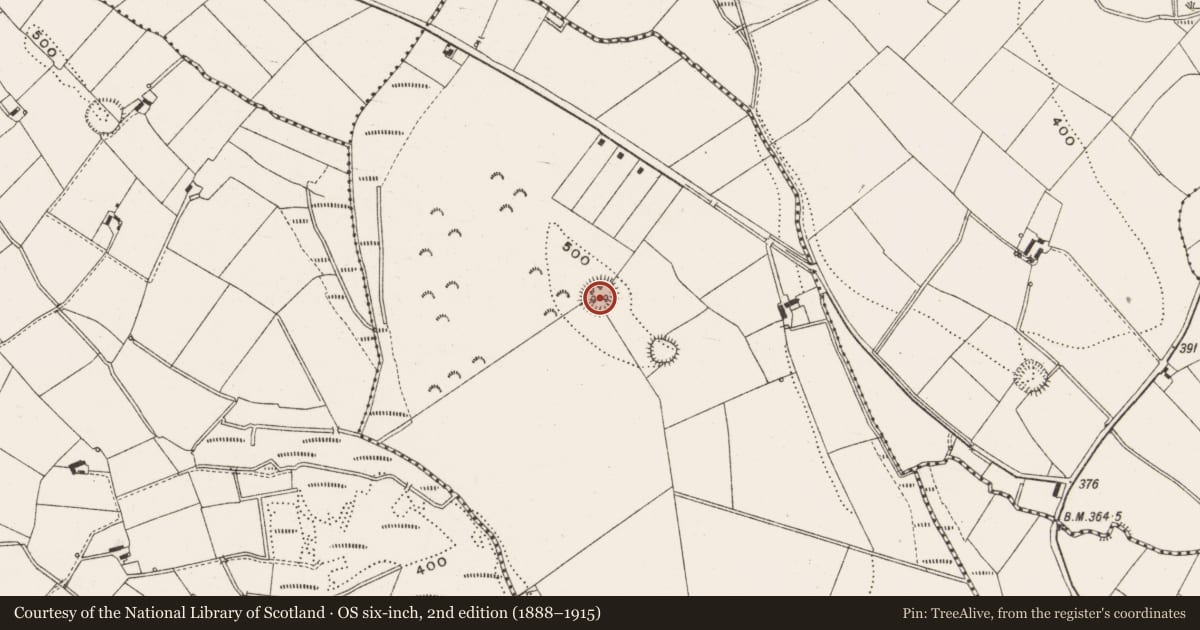 Ordnance Survey six-inch map, 2nd edition (1888–1915) covering the location of Ringfort - rath, Cornaglare Or Palmira, County Cavan, with a pin at the register's coordinates