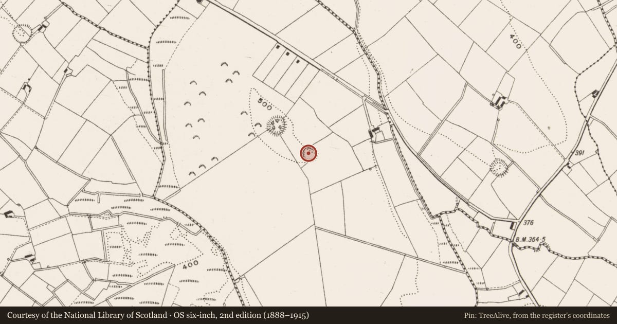 Ordnance Survey six-inch map, 2nd edition (1888–1915) covering the location of Ringfort - rath, Cornaglare Or Palmira, County Cavan, with a pin at the register's coordinates