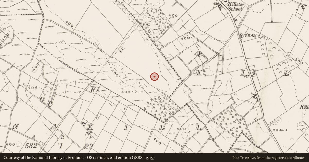 Ordnance Survey six-inch map, 2nd edition (1888–1915) covering the location of Ringfort - rath, Cornaglare Or Palmira, County Cavan, with a pin at the register's coordinates