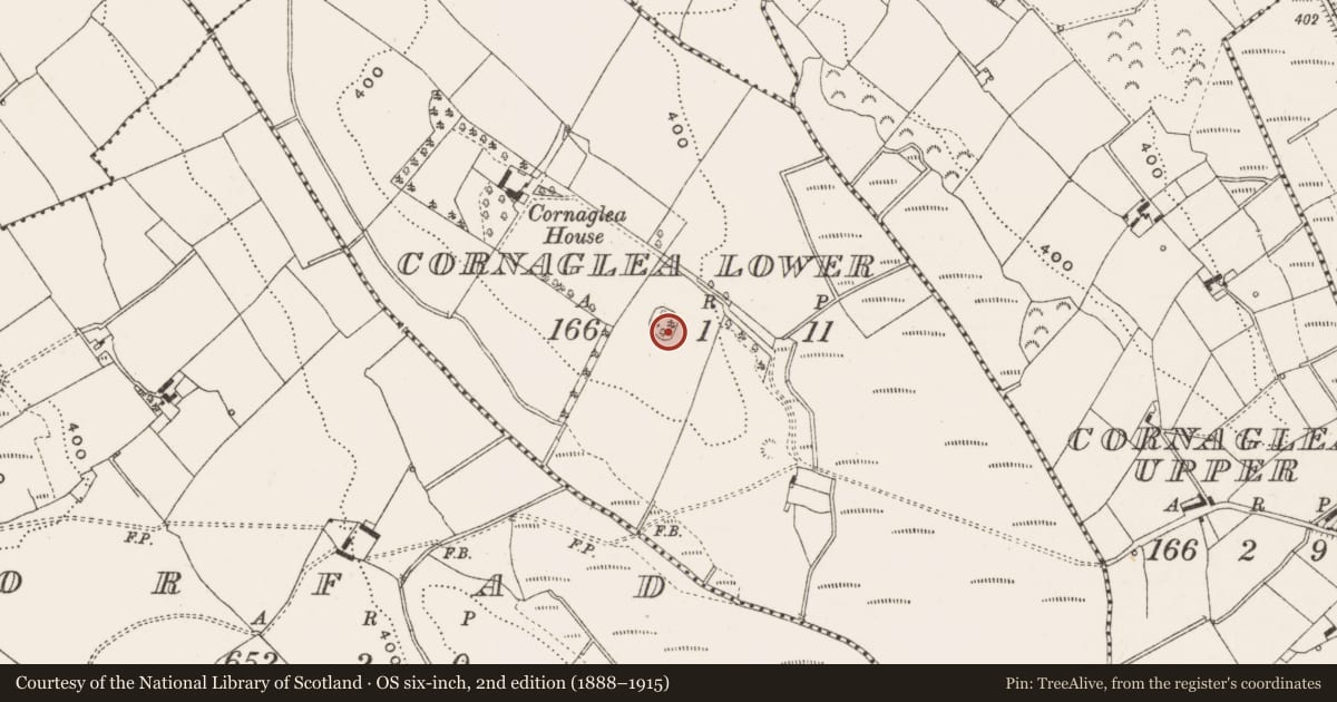 Ordnance Survey six-inch map, 2nd edition (1888–1915) covering the location of Designed landscape - tree-ring, Cornaglea Lower, County Cavan, with a pin at the register's coordinates