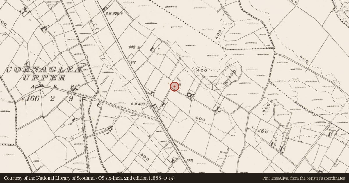 Ordnance Survey six-inch map, 2nd edition (1888–1915) covering the location of Children's burial ground, Cornakill, County Cavan, with a pin at the register's coordinates