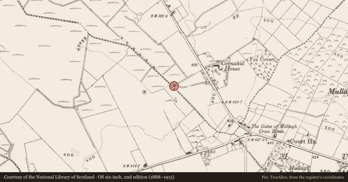Ordnance Survey six-inch map, 2nd edition (1888–1915) covering the location of Designed landscape - tree-ring, Cornakill, County Cavan, with a pin at the register's coordinates