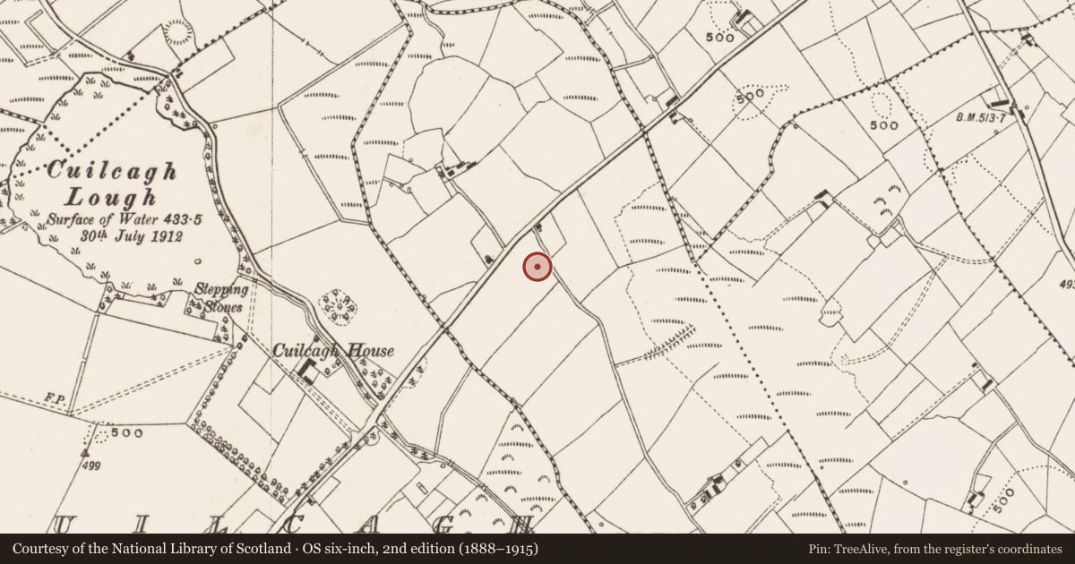 Ordnance Survey six-inch map, 2nd edition (1888–1915) covering the location of Ringfort - rath, Corragloon, County Cavan, with a pin at the register's coordinates