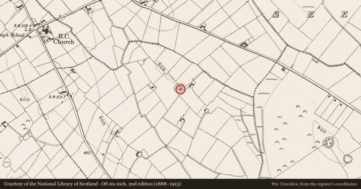 Ordnance Survey six-inch map, 2nd edition (1888–1915) covering the location of Ringfort - rath, Corryrourke, County Cavan, with a pin at the register's coordinates