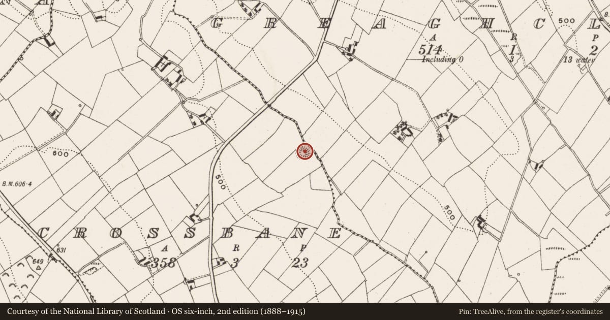 Ordnance Survey six-inch map, 2nd edition (1888–1915) covering the location of Ringfort - rath, Crossbane, County Cavan, with a pin at the register's coordinates