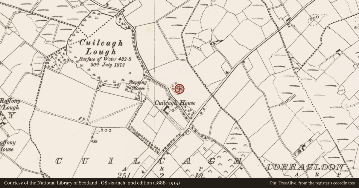 Ordnance Survey six-inch map, 2nd edition (1888–1915) covering the location of Designed landscape - tree-ring, Cuilcagh, County Cavan, with a pin at the register's coordinates