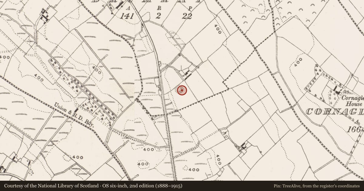 Ordnance Survey six-inch map, 2nd edition (1888–1915) covering the location of Ringfort - rath, Drumrat, County Cavan, with a pin at the register's coordinates