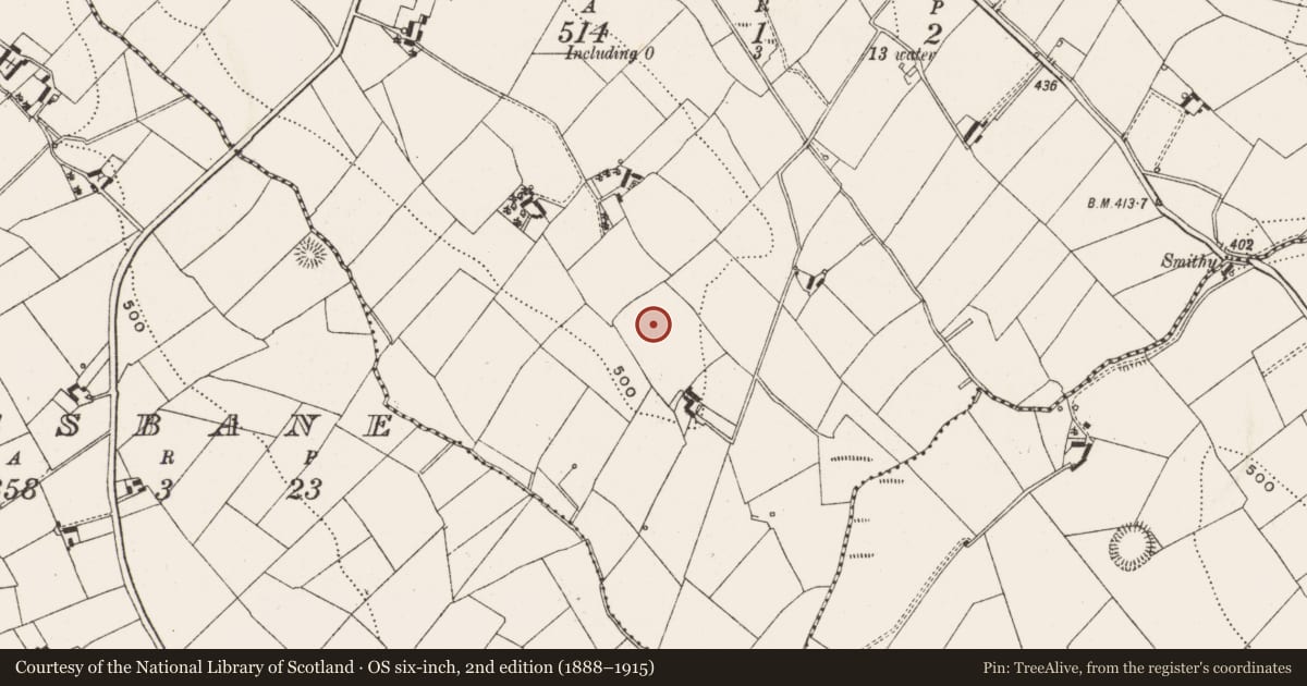 Ordnance Survey six-inch map, 2nd edition (1888–1915) covering the location of Ringfort - rath, Greaghclogh, County Cavan, with a pin at the register's coordinates