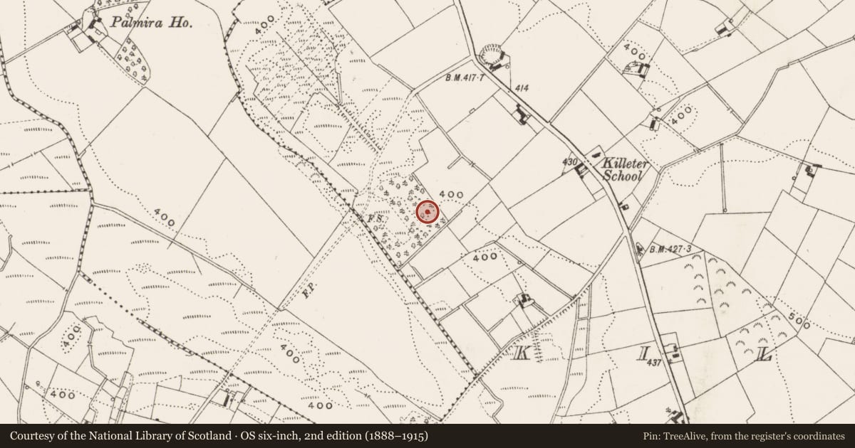 Ordnance Survey six-inch map, 2nd edition (1888–1915) covering the location of Enclosure, Killeter, County Cavan, with a pin at the register's coordinates