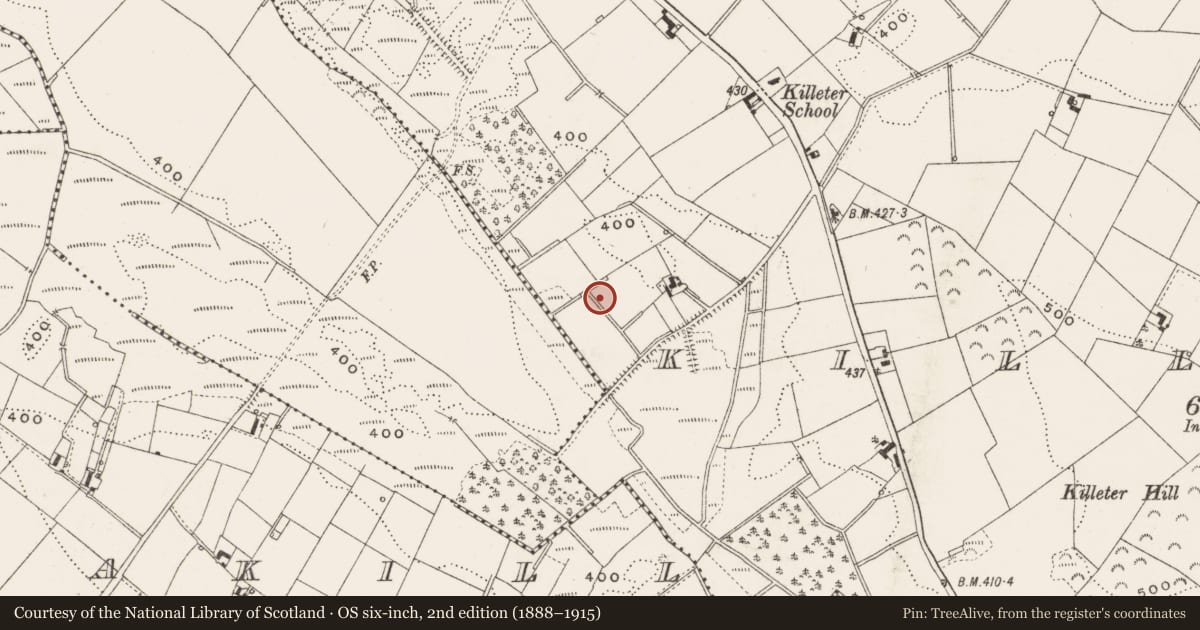 Ordnance Survey six-inch map, 2nd edition (1888–1915) covering the location of Enclosure, Killeter, County Cavan, with a pin at the register's coordinates