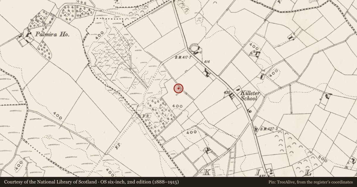 Ordnance Survey six-inch map, 2nd edition (1888–1915) covering the location of Enclosure, Killeter, County Cavan, with a pin at the register's coordinates