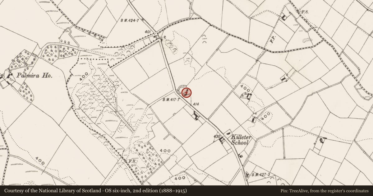 Ordnance Survey six-inch map, 2nd edition (1888–1915) covering the location of Ringfort - rath, Killeter, County Cavan, with a pin at the register's coordinates