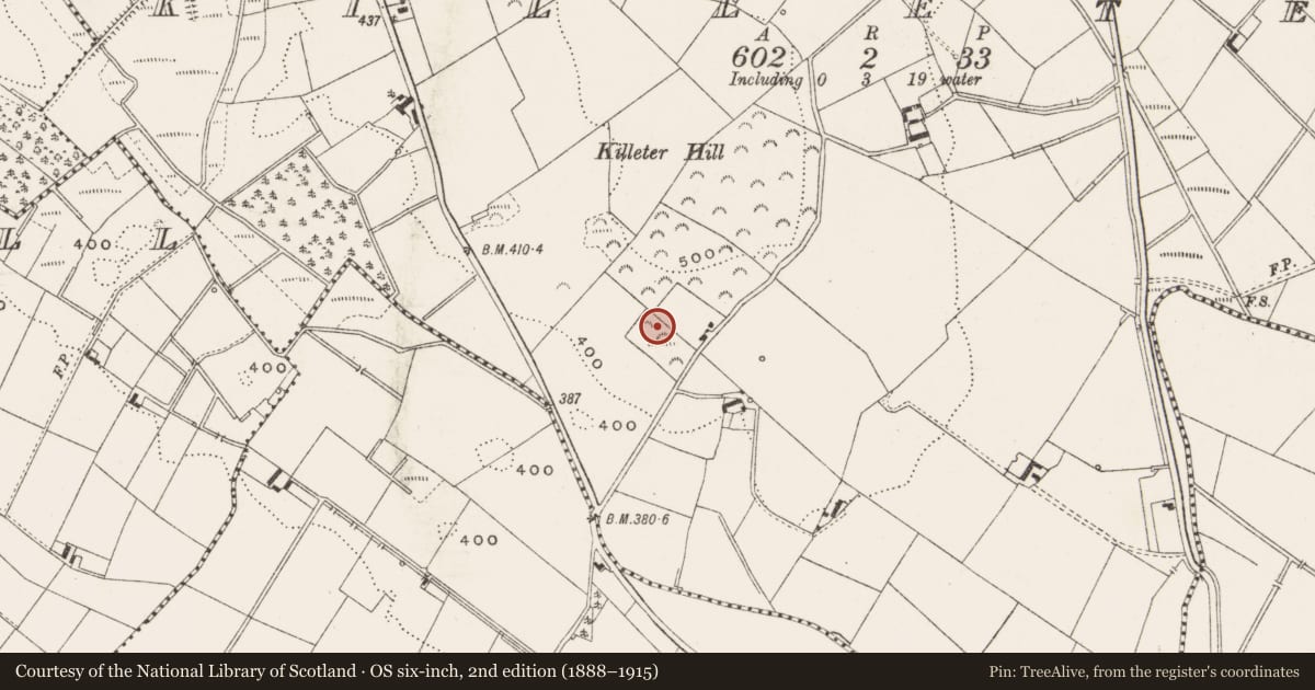 Ordnance Survey six-inch map, 2nd edition (1888–1915) covering the location of Megalithic tomb - court tomb, Killeter, County Cavan, with a pin at the register's coordinates