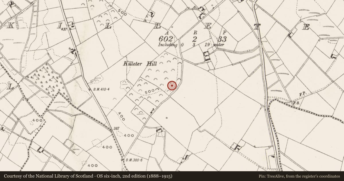 Ordnance Survey six-inch map, 2nd edition (1888–1915) covering the location of Ringfort - rath, Killeter, County Cavan, with a pin at the register's coordinates