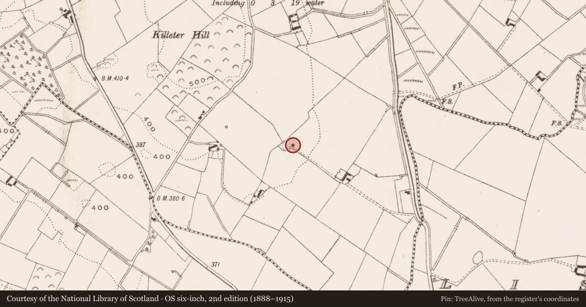 Ordnance Survey six-inch map, 2nd edition (1888–1915) covering the location of Ringfort - rath, Killeter, County Cavan, with a pin at the register's coordinates